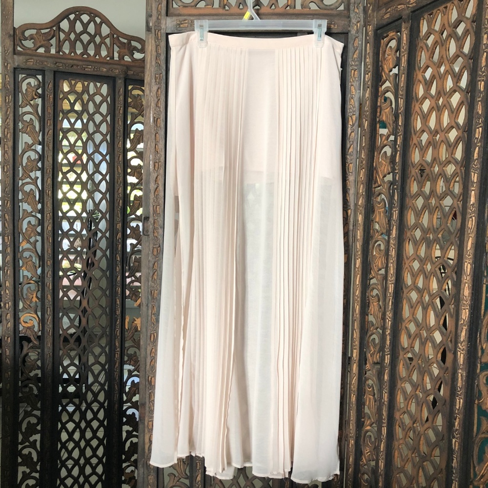Sheer Maxi Skirt Zara